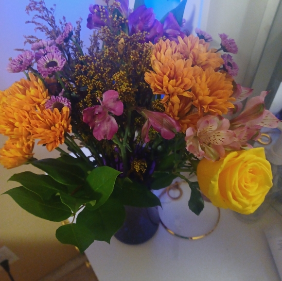 live show listing like to be notified when im live - Picture 11 of 15